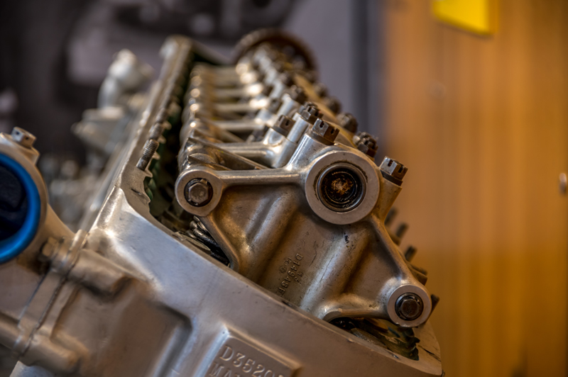 Merlin by Steve Tugwell